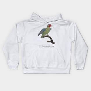 Red Cheeked Parrot / Le Perroquet Geoffroy Male - 19th century Jacques Barraband Illustration Kids Hoodie